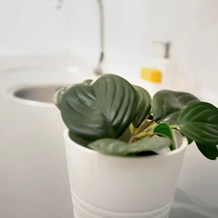 Un Descanso 2-1 펜션 마스팔로마스